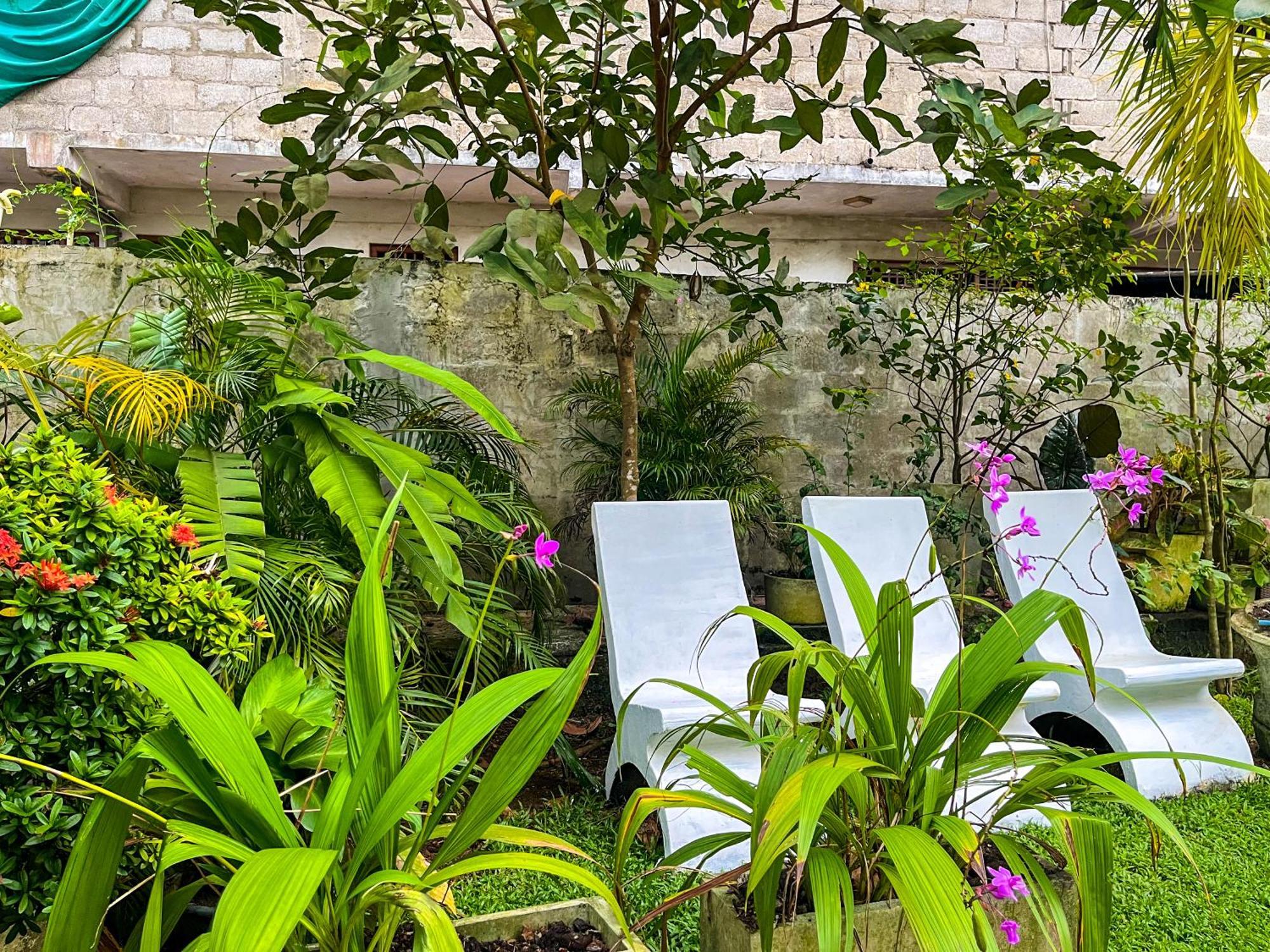 Galle Camellia Exteriör bild