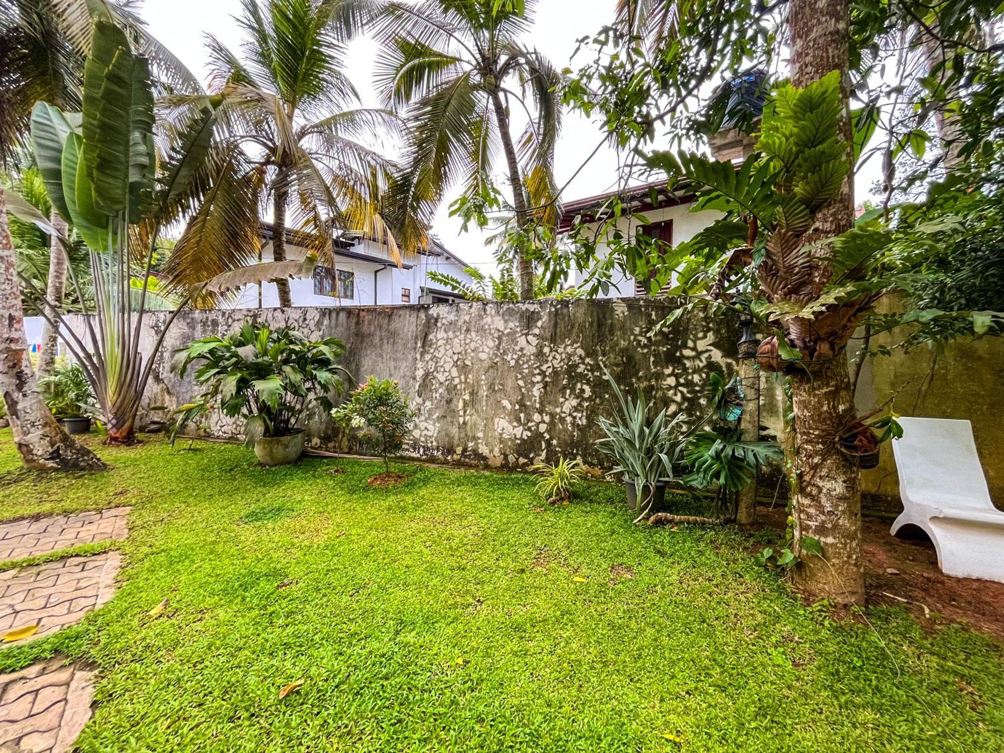 Galle Camellia Exteriör bild